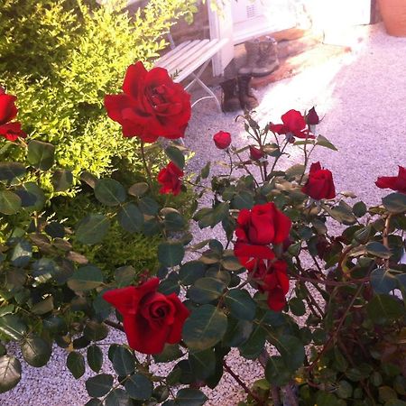 L'Ecrin Bed and Breakfast Villeneuve-sur-Lot Exteriör bild