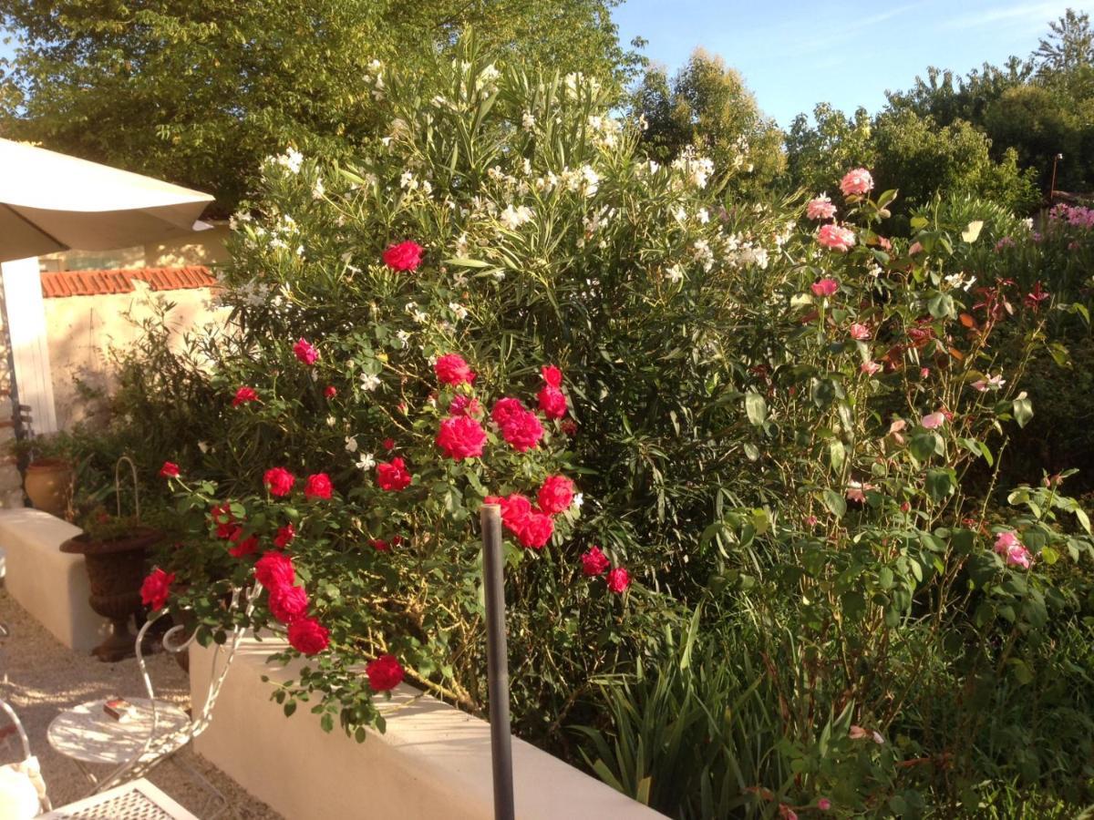 L'Ecrin Bed and Breakfast Villeneuve-sur-Lot Exteriör bild