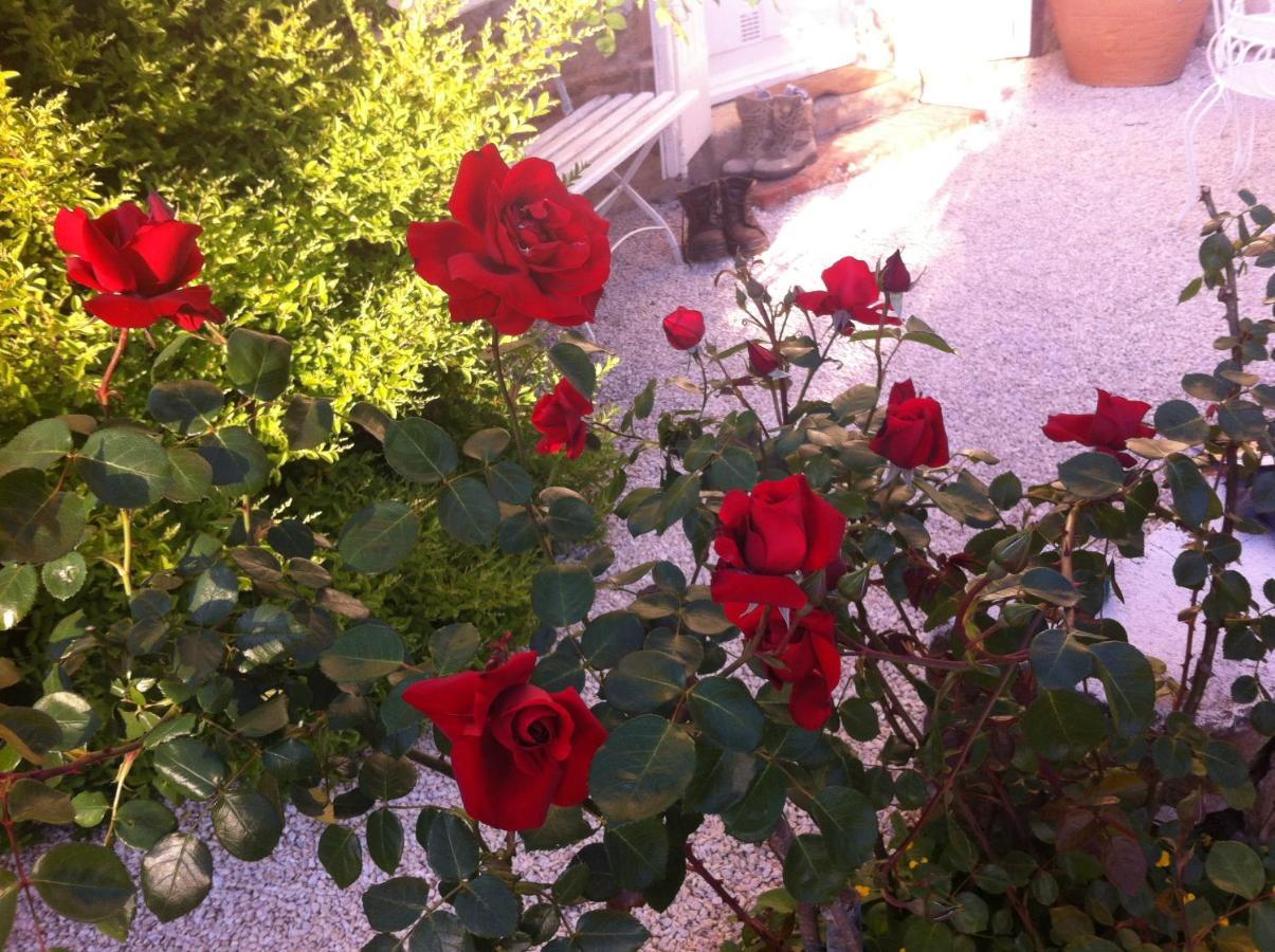 L'Ecrin Bed and Breakfast Villeneuve-sur-Lot Exteriör bild